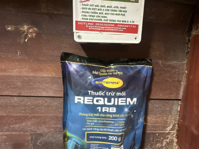 Diệt mối nhà chị Thủy