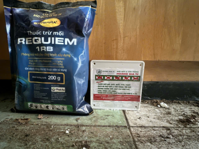 Nhử mối nhà chị Tú