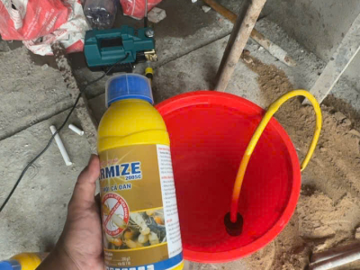 Chống mối nhà cu 8