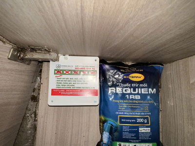 Dịch vụ diệt mối bằng bả sinh học